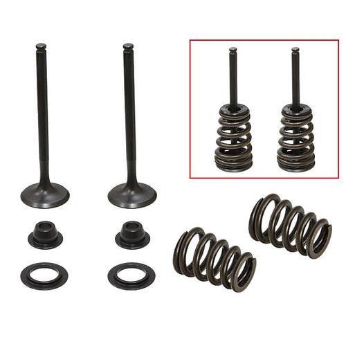 Husaberg FE550 2004-2008 Psychic Steel Exhaust Valve Kit (No Springs)