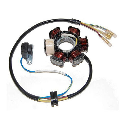 Honda CRF100F 2004-2009 Electrosport Stator