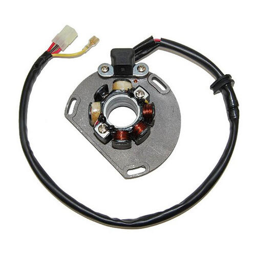 KTM 200 EXC 2005 Electrosport Lighting Stator