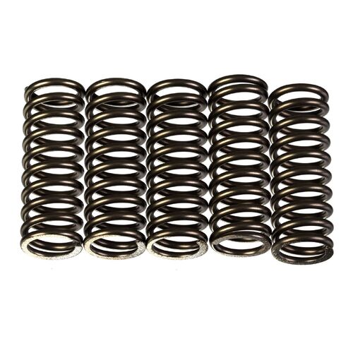 Honda CRF250R 2011-2023 Premier Heavy Duty Clutch Springs Direct Replacement