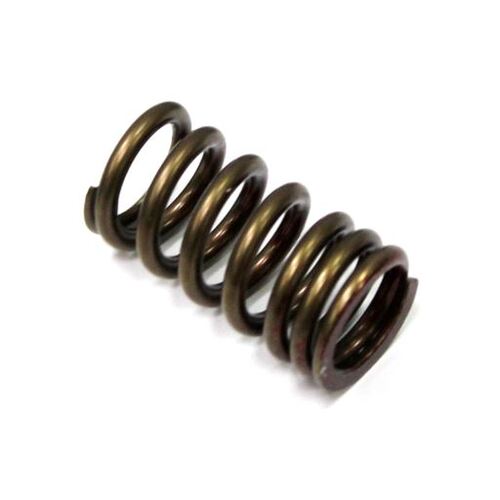 Suzuki RM-Z250 2004-2024 Psychic Single Steel Exhaust Valve Spring