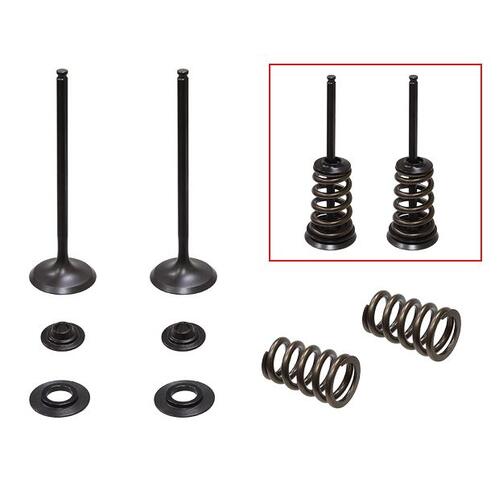 KTM 250 SX-F 2005-2007 Psychic Steel Inlet Valve Spring & Retainer Kit
