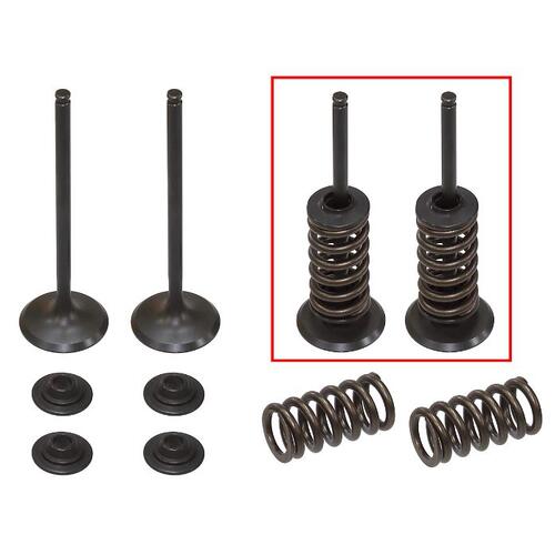 KTM 250 SX-F 2008-2013 Psychic Steel Inlet Valve Spring & Retainer Kit