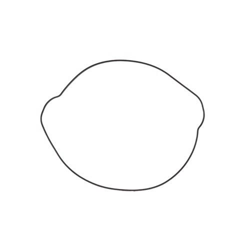 Husqvarna FE350 2017-2018 Pro-X Clutch Cover Gasket Rebuild Outer