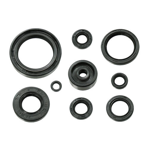 Yamaha WR250 1988-1998 Engine Oil Seal Kit 2T 