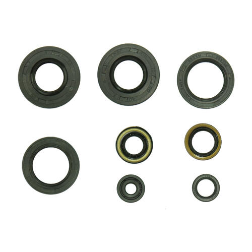 Kawasaki KX100 1995-1997 Engine Oil Seal Kit 