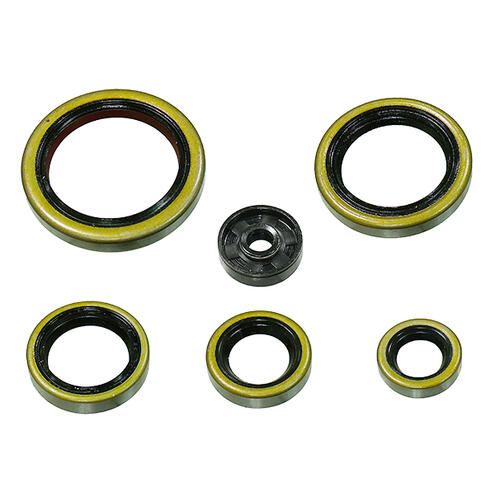 Husaberg TE250 2011-2014 Engine Oil Seal Kit 
