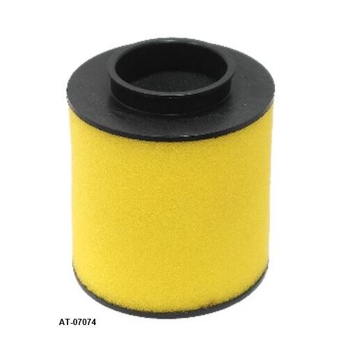 Honda TRX250 Ex/X 2001-2019 Psychic Foam Air Filter Direct Replacement