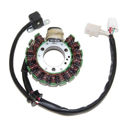 Yamaha YFM250 Bear Tracker 2000 Electrosport Stator