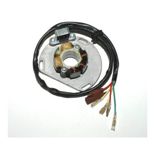 KTM 200 SX 2003-2004 Electrosport Lighting Stator
